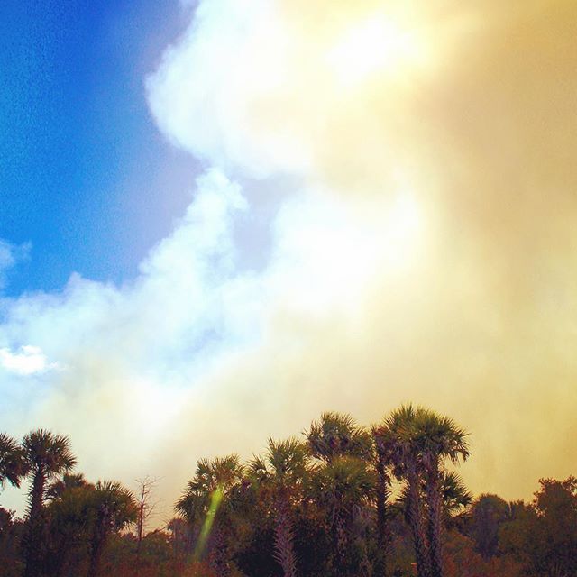 EVERGLADES FIRE!